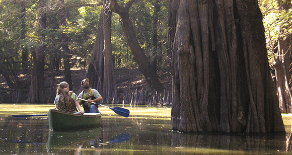 H Lake Canoe trail H Lake Canoe trail